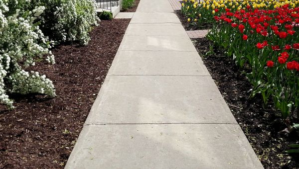 Sidewalk Slab Replacement in Pasadena