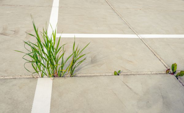 Concrete Parking Installation in Pasadena