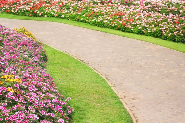 Concrete Walkway Service in Pasadena
